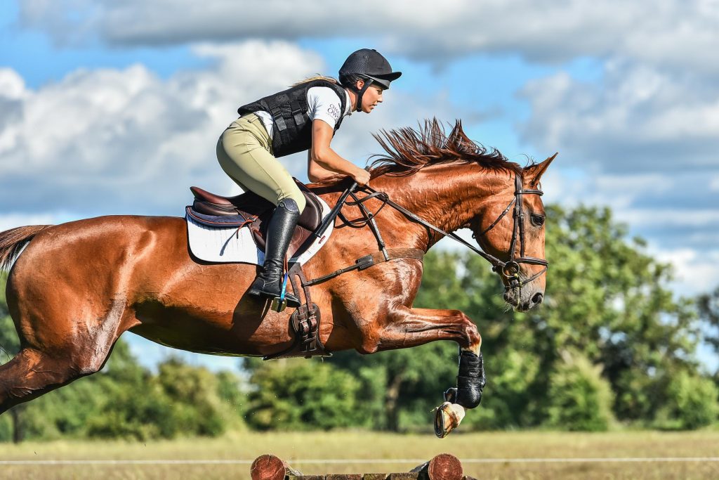 Teknik Dasar Berkuda Bagi Pemula Yang Ingin Mengikuti Lomba Pacuan Kuda